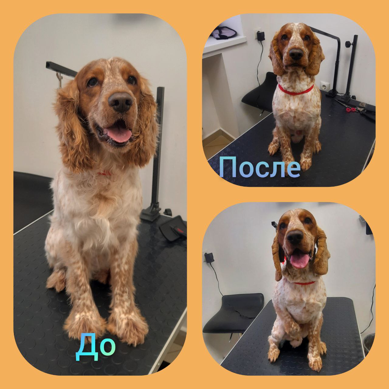 photo_2026-01-28_23-05-38